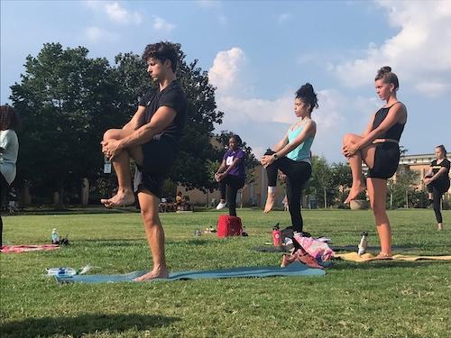 students practicing yoga outside on ksu campus green